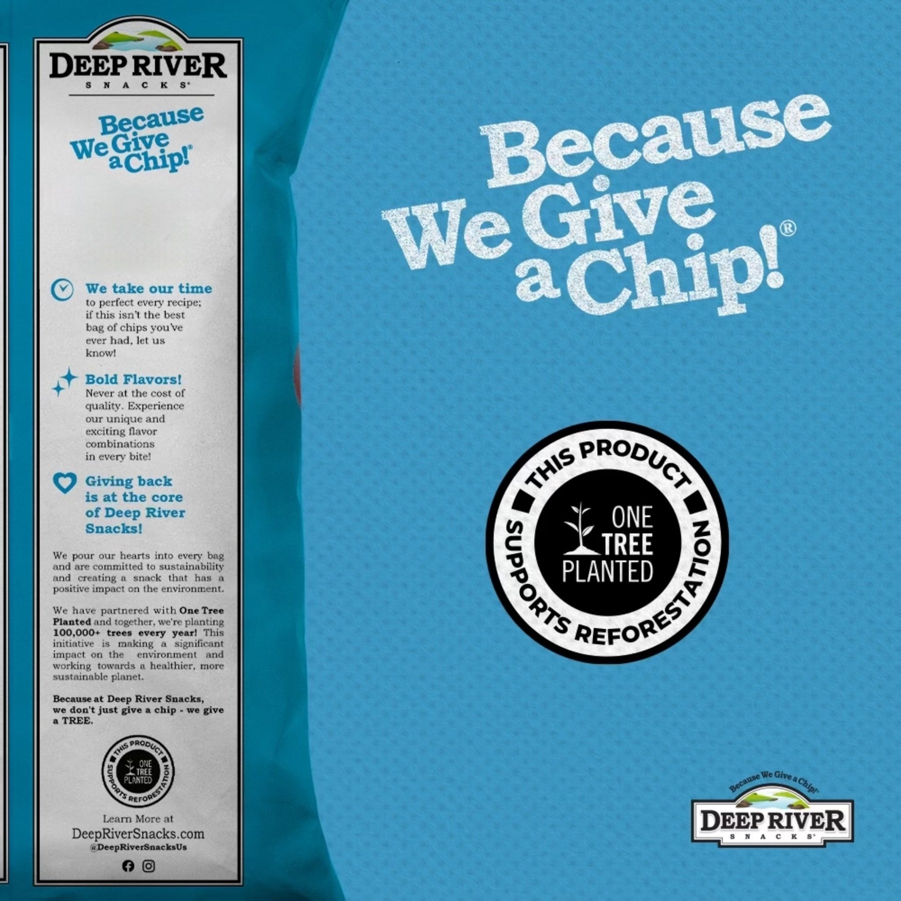 Sea Salt & Vinegar Kettle Cooked Potato Chips