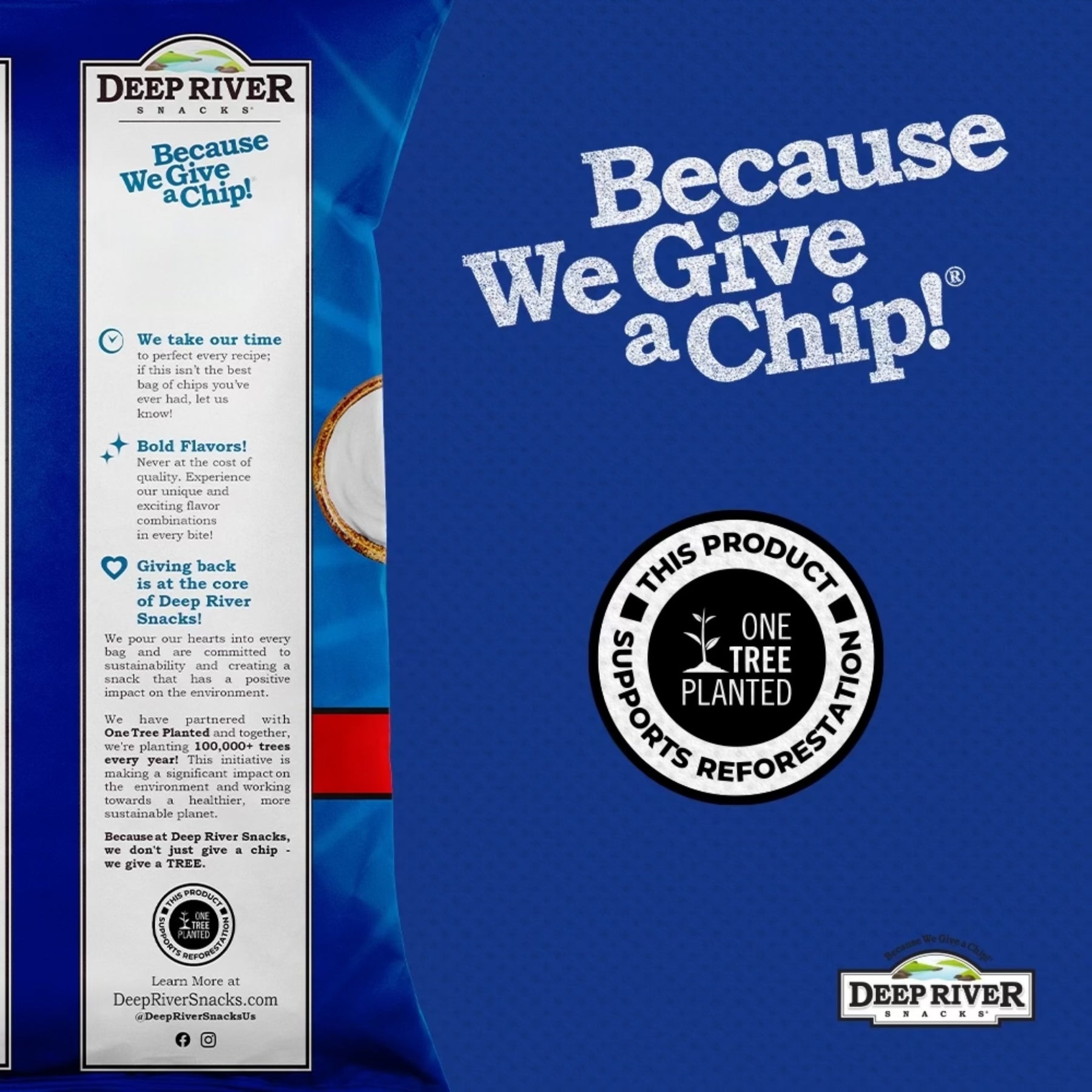 Sour Cream and Onion Kettle Cooked Potato Chips